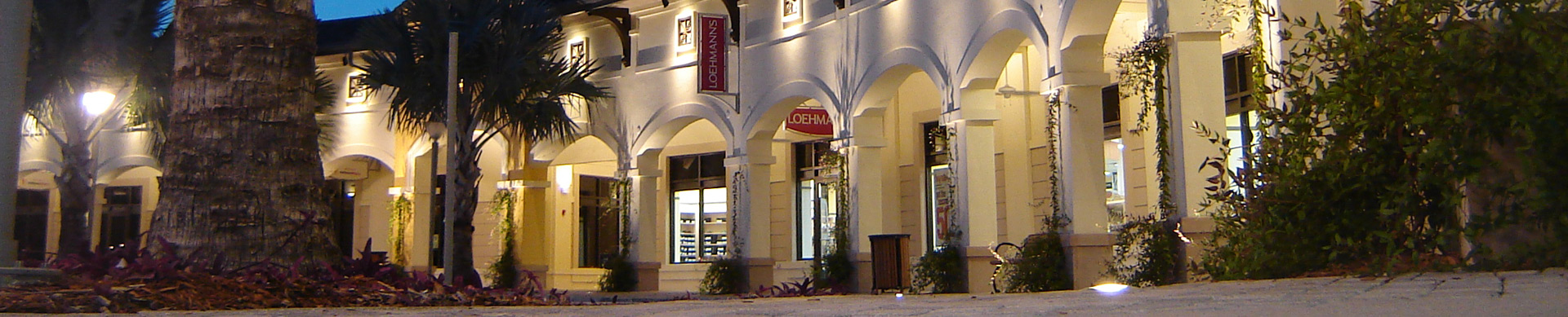 Large image